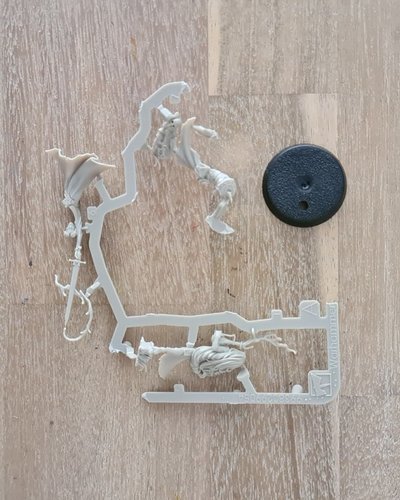 Inara Sion - New on Sprue