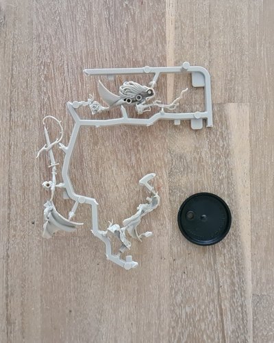 Inara Sion - New on Sprue