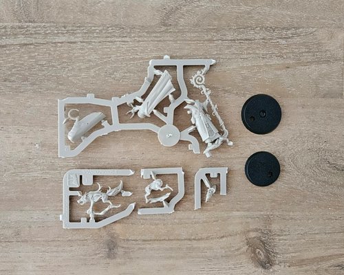 Jacobus Vyne with Wisper - New on Sprue