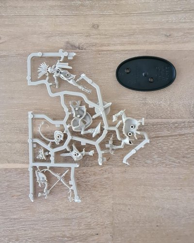 Kelthannor - New on Sprue