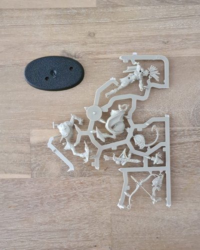 Kelthannor - New on Sprue