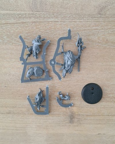 Shaman Foulhoof - New on Sprue