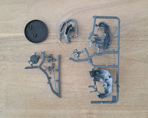 Belga the Cystwitch - New on Sprue