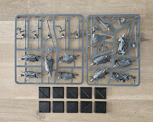 10x Lothern Sea Guard - New on Sprue