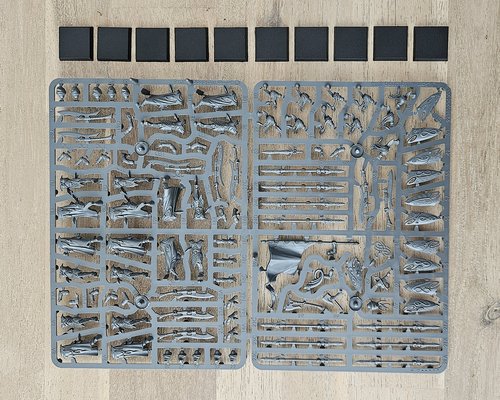 10x Eternal Guard - New on Sprue