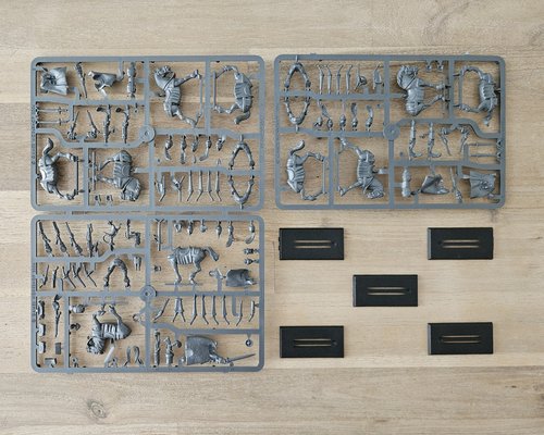 5x Empire Outriders - New on Sprue