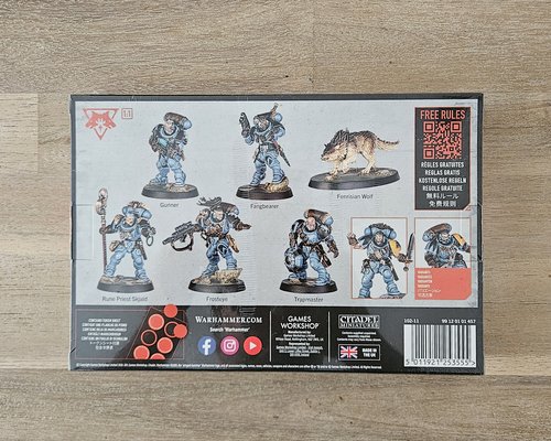 Kill Team: Wolf Scouts