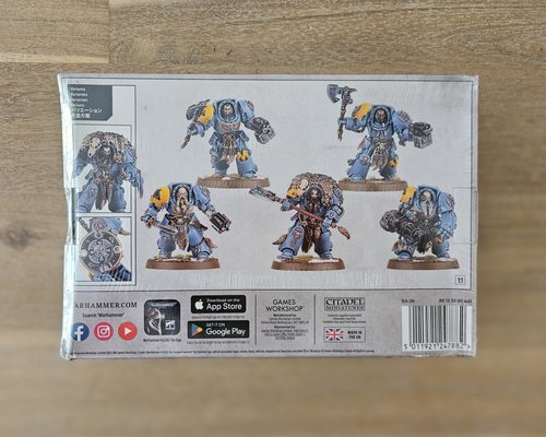 Wolf Guard Terminators