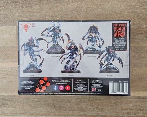 Kill Team: Raveners