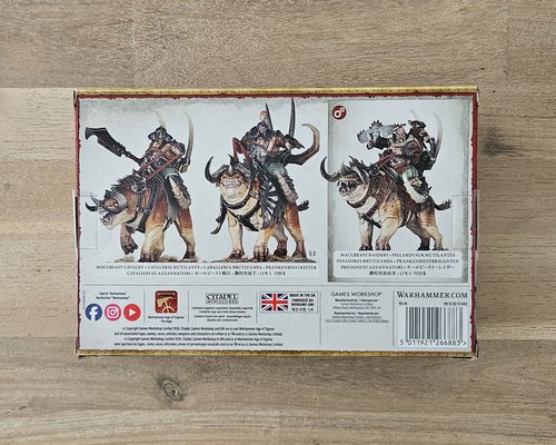 Maulbeast Raiders / Cavalry