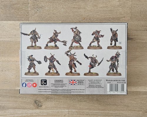 Fellgor Beastmen