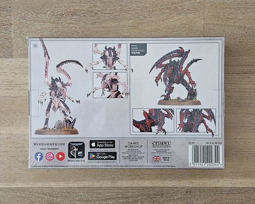 Lictor